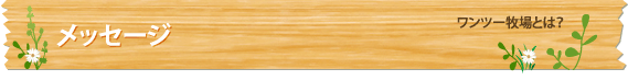 メッセージ