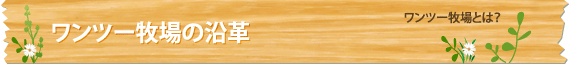 ワンツー牧場の沿革