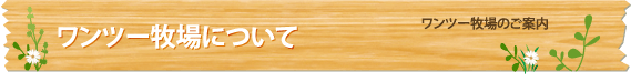ワンツー牧場について
