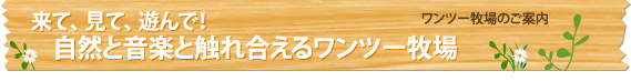 見学のご案内 来て、見て、遊んで！自然と音楽と触れ合えるワンツー牧場