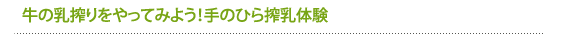 牛の乳搾りをやってみよう！手のひら搾乳体験
