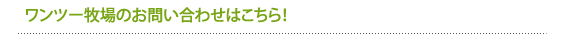 ワンツー牧場のお問い合わせはこちら！
